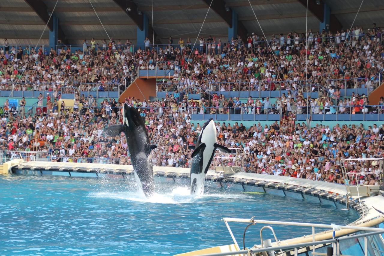 Riviera Azur Antibes à 300m de la mer et du Marineland Eksteriør bilde